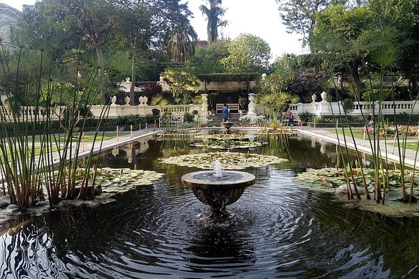 Garden of Dreams.